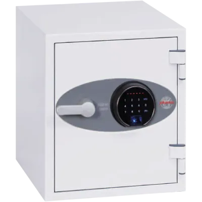 Datensicherungsschrank DATA CARE DS2001F mit Fingerabdruckschloss