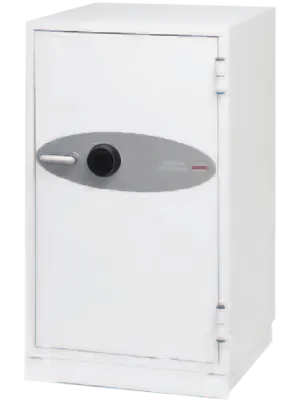 Datensicherungstresor Data Commander DS4621F mit Fingerabdruckschloss (F)
